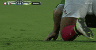 chicharito hernandez GIF by Univision Deportes