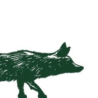 foxdrycider fox sneaky mischievous whatthefox Sticker