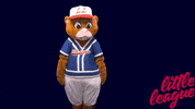 Little League Baseball GIF by Little League International