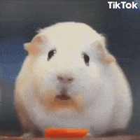 Fame Ho GIF by TikTok Italia