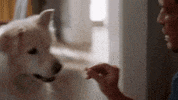 splitting up together GIF by ABC Network