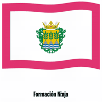 Bandera Andalucia GIF by Formación Ninja