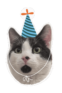 Cat In Party Hat Sticker