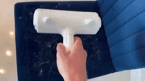 kingeskinadive99 giphyupload GIF