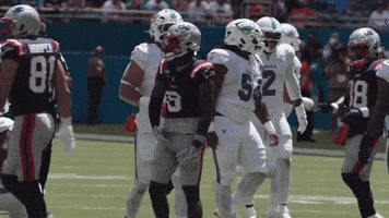 Stefon Diggs Football GIF by New England Patriots