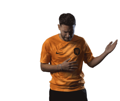 HuisVanOranje giphyupload voetbal dutch nederland Sticker