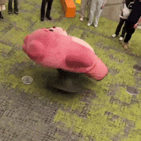 Bear 행복 GIF