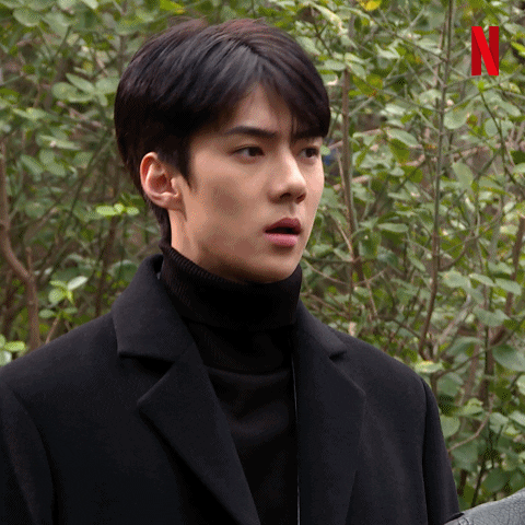 netflix exo GIF by Busted!