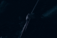 Kband GIF