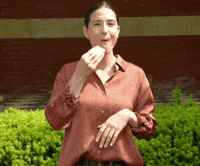 Work From Home GIF
