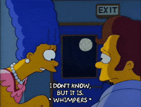 Season 2 GIF by The Simpsons