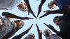 unity friends GIF by HuMandalas