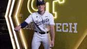 Georgia Tech Baseball GIF by Georgia Tech Yellow Jackets