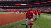 Canadian Baseball GIF by Toronto Blue Jays