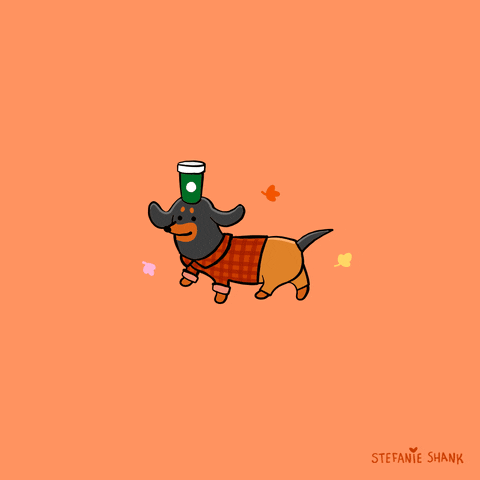 Pumpkin Spice Latte Dog GIF by Stefanie Shank