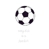 efekaradagli fight football game sport Sticker