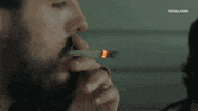 viceland GIF by WEEDIQUETTE