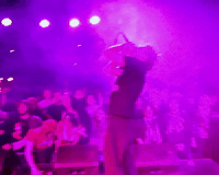 Kansas City GIF by Massacre Music