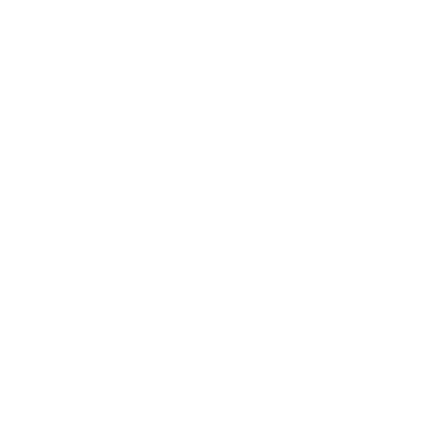 ZIPZAPP  Sticker