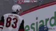 nhl sports sport hockey nhl GIF