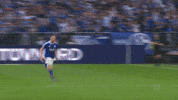 Football Soccer GIF by FC Schalke 04
