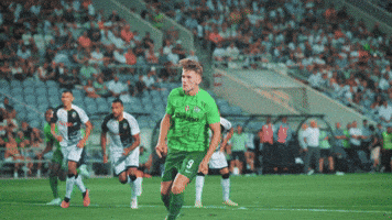 Football Soccer GIF by Sporting CP