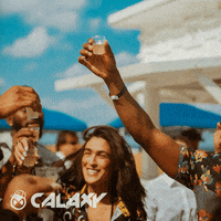 CalaxyApp party friends celebrate crypto GIF