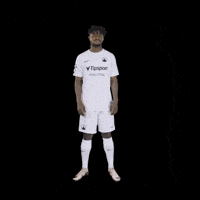 Benjamin Palecnahoru GIF by FC Slovan Liberec