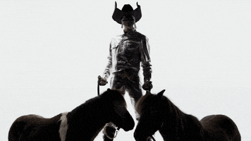 subpoprecords pride country music country cowboy GIF