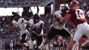 University Of Cincinnati Touchdown GIF by Cincinnati Bearcats