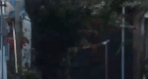 king of comedy xi ju zhi wang GIF