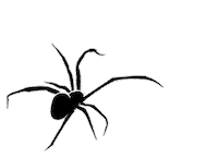 Spider Sticker by JGrrey