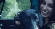 She Gone GIF by Randall King