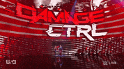 Wwe Wrestling GIF by USA Network