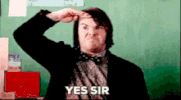 cat discover GIF