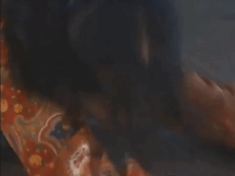 the mystery files of shelby woo nicksplat GIF