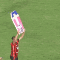 Ecvitoria Bavi GIF