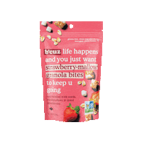 bcuzsnacks snacks healthy snacks kid snacks bcuz Sticker