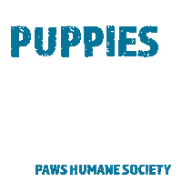 Dog Sticker by Paws Humane Society