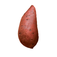 Sweet Potato Farming Sticker by Spudsy Foods