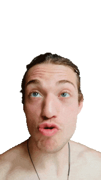 die wohngemeinschaft zdf tivi Sticker by funk