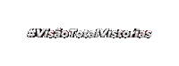 Visaototal Sticker by Visão Total Vistorias