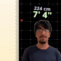 7' 4"