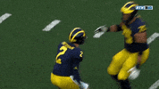 Jump Hug Michigan Football GIF by Michigan Athletics