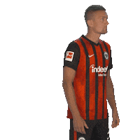 Posing Line Up Sticker by Bundesliga