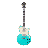 Guitar Dangelico Sticker by Tarara