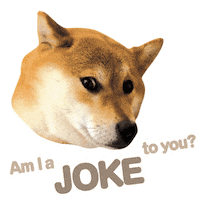 Valentine Shiba Sticker by adlibfashion