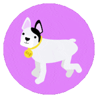 Dog Sticker by Doghotels