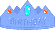 birthday STICKER by Studios Stickers