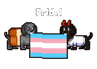 Trans Day Of Visibility Pride Sticker by Abstract HotDogs